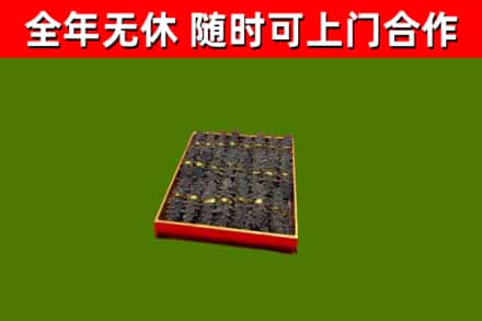 南充回收海参